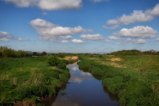 istock Beautiful summer landscape. River and blue sky with clouds 1319485501