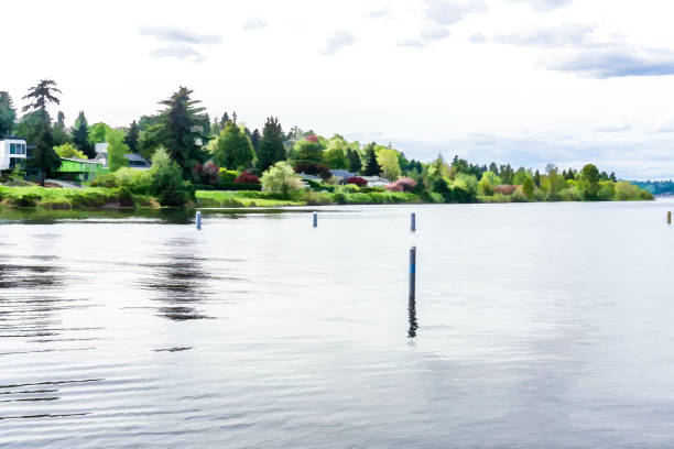An illustration of the shoreline of Lake Washington in Seattle.