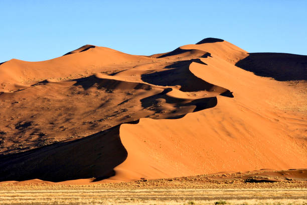 Red desert sand dunes Red desert sand dunes of Sussusvlei, Namib rand reserve, Namibia namib sand sea stock pictures, royalty-free photos & images