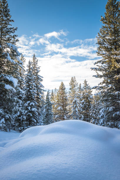 Big Sky Snow Mounds stock photo