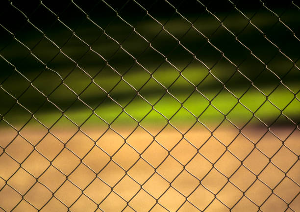 Chainlink fence on baseball field at sunset Chainlink fence on baseball field at sunset baseball cage stock pictures, royalty-free photos & images