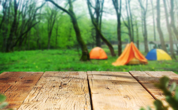 istock color tents in the field 1319492997