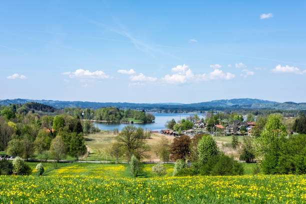 Spring at the Staffelsee Spring day in April at The Staffelsee near Murnau murnau photos stock pictures, royalty-free photos & images