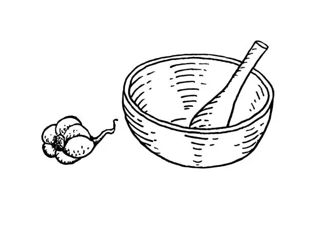 Vector illustration of Ceramic mortar and garlic sketch illustration