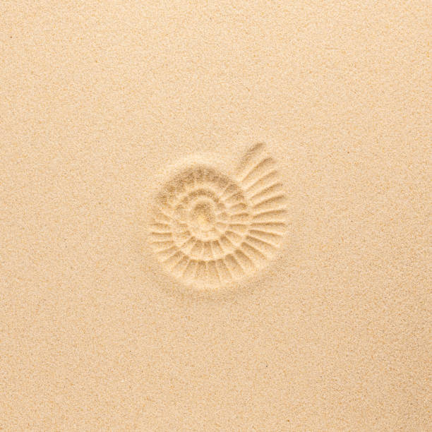 Spirals and Lines found in the Verneukpan, only visible from a bird's eye view.