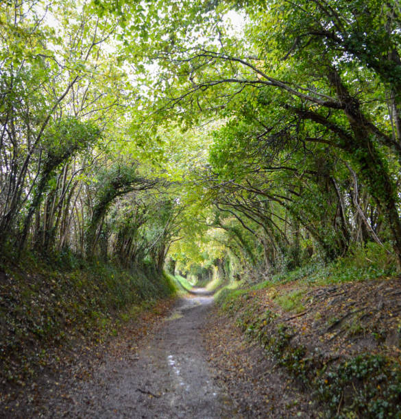 istock On the old Roman road 1319496043