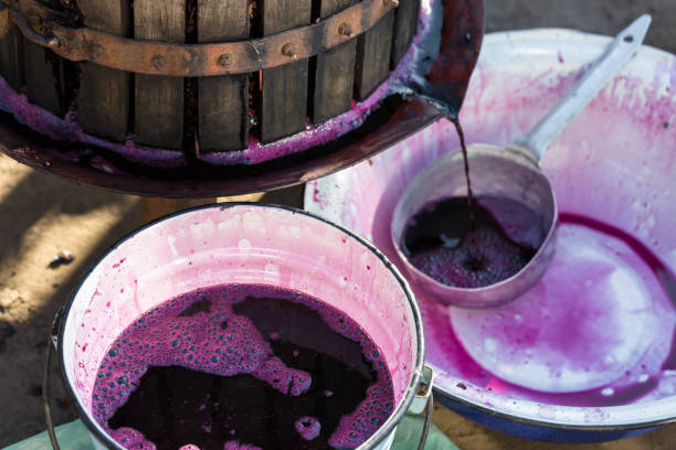 istock Winepress with red must and helical screw. Winemaker's hands close up. 1319500688