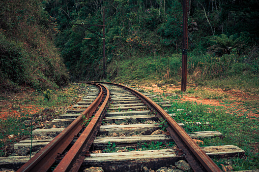 Old railroad, railroad, train tracks Rainforest background