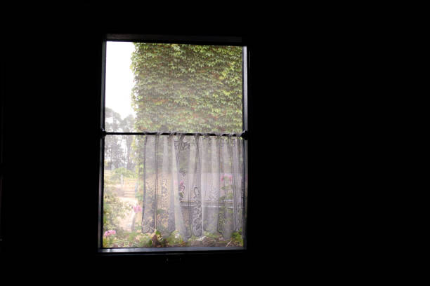 istock View from the window in a dark room 1319503271