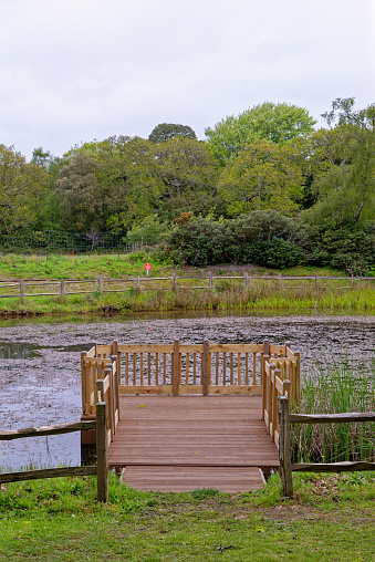 Dragonfly Pond during spring in the grounds of Exbury gardens, a large woodland garden belonging to the Rothschild family in Hampshire, England, UK - 20th of May 2021