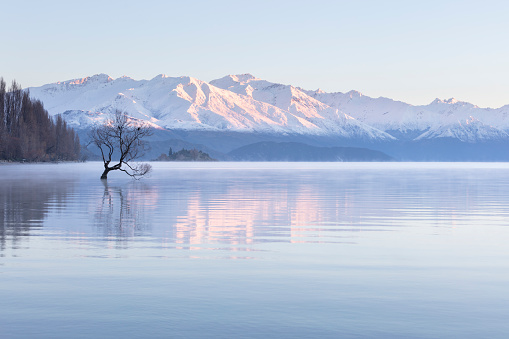 Lake Wanaka, New Zealand. Early morning light shines on the mountains covered in fresh snow. The mountains, and the lone tree in the foreground, are reflected in the still waters of the lake.