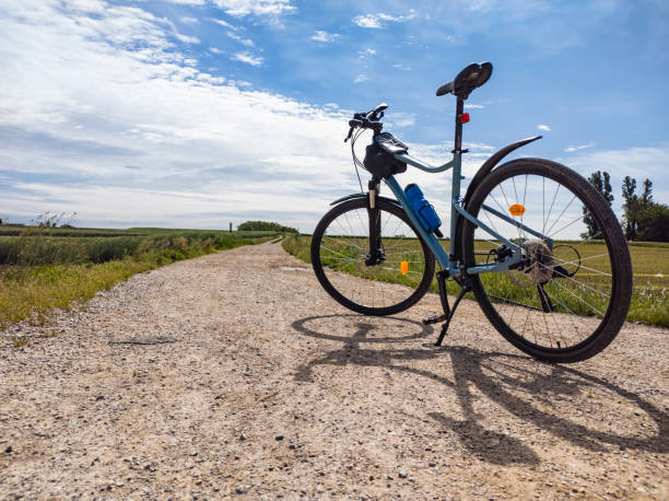 istock Bicycle on a country road at sunset 1319511923