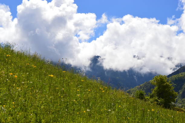 istock Beautiful landscape in Southtyrol with clouds 1319512957