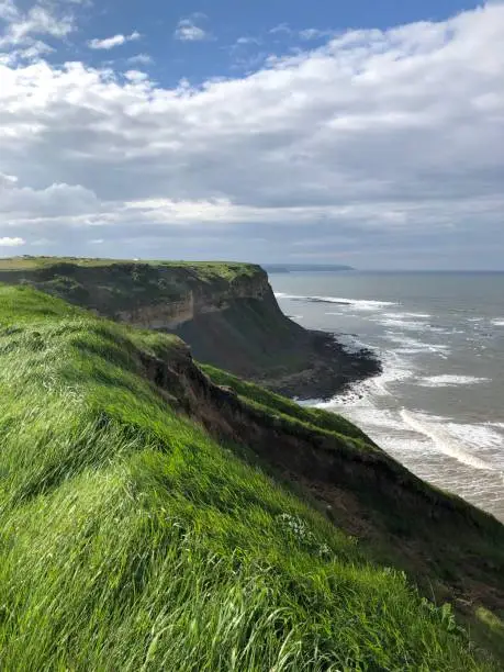 Filey Brigg in May under blue skies with strong sunshine illuminating the cliff top grasses and waves visible against the shoreline. Filey Brigg, Filey, East Riding, Yorkshire Coastline, Yorkshire, North Sea, England, United Kingdom