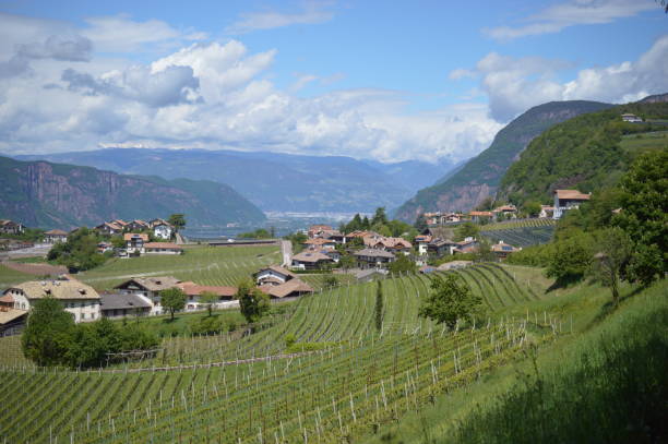 istock Beautiful landscape in Southtyrol with clouds 1319513101
