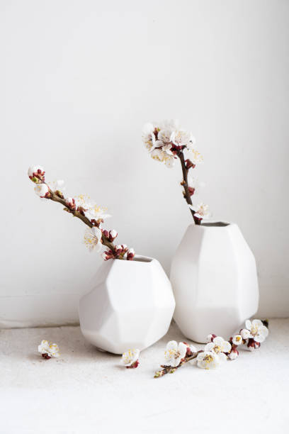 istock Blooming apricot tree branches in vases, white spring home decoration 1319515100