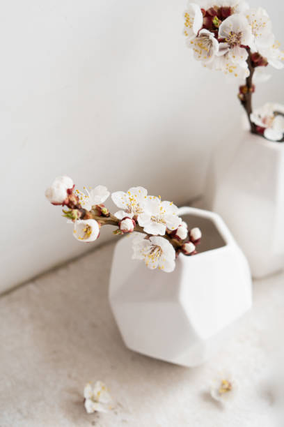 istock Blooming apricot tree branches in vases, white spring home decoration 1319515103