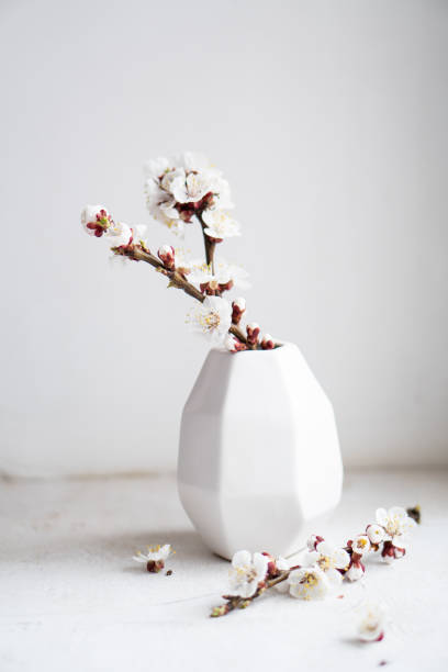 istock Blooming apricot tree branches in vases, white spring home decoration 1319515307