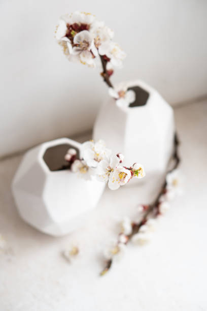 istock Blooming apricot tree branches in vases, white spring home decoration 1319515357