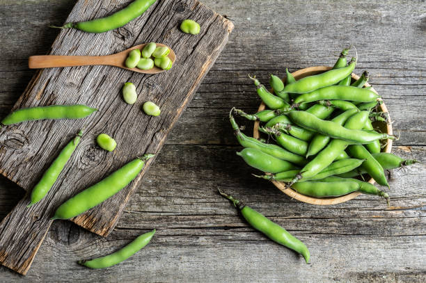 Fresh broad beans with pod on rustic background, healthy food
