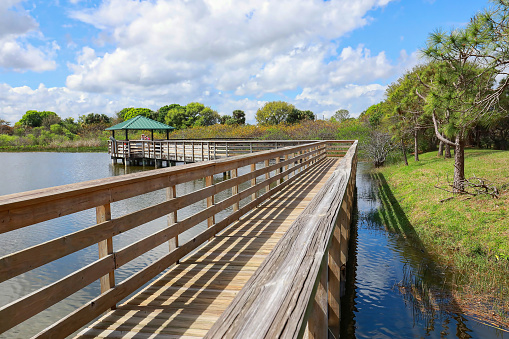 Boardwalk at Wakodahatchee Wetlands Park, located in Delray Beach, Florida. The park was created on 50 acres of unused utility land and is now part of the Great Florida Birding Trail.