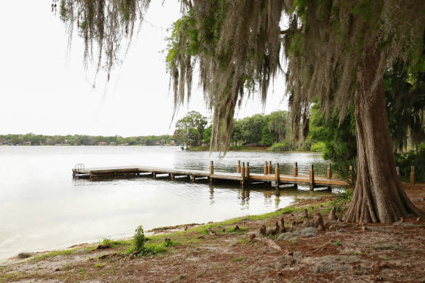 Small dock in Winter Park, Florida