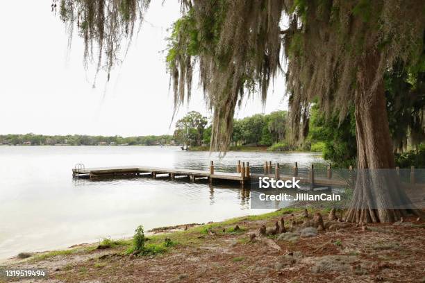 Small Dock In Winter Park Florida Stock Photo - Download Image Now - Florida - US State, Winter Park - Florida, Nature