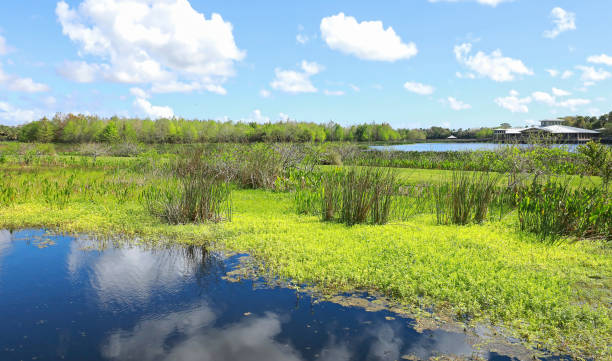 istock Scenic view at Green Cay 1319519551