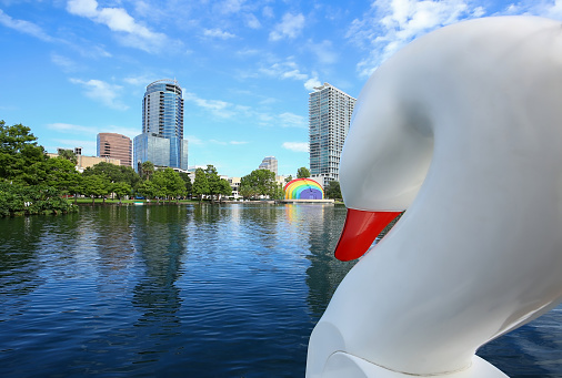Plastic swan looking out at beautiful Lake Eola in Orlando, Florida.