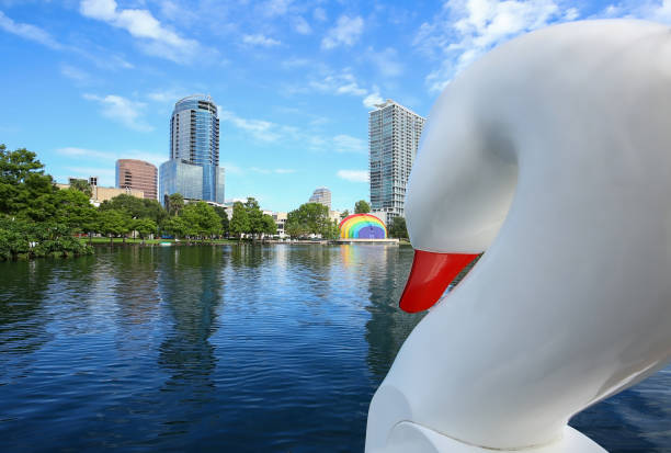 Lake Eola and the giant swan Plastic swan looking out at beautiful Lake Eola in Orlando, Florida. lake eola stock pictures, royalty-free photos & images