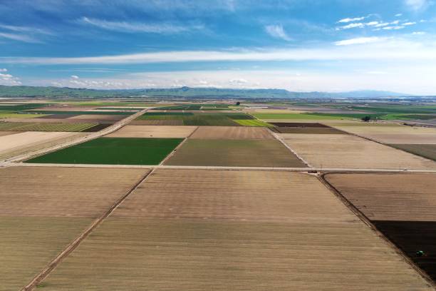 istock California farm lands from above 1319521219
