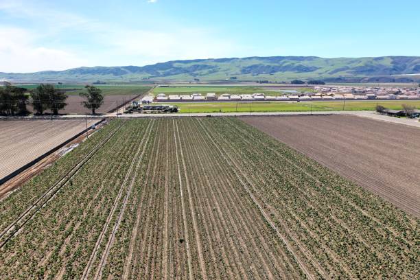istock California farm lands along the 101 1319521239