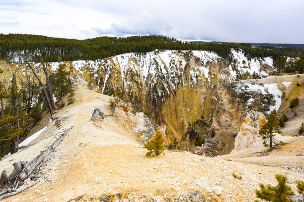 grande cânion nevado de yellowstone - idaho waterfall natural landmark extreme terrain - fotografias e filmes do acervo