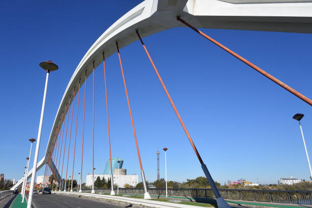 istock Barqueta Bridge, Sevilla, Spain, Europe 1319530476