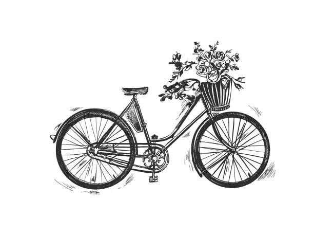 Vector hand drawn illustration of city bicycle in ink hand drawn style. Bike with step-through frame, pannier rack and front wicker basket. bicycle basket stock illustrations