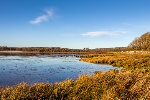 Low tide on a Scottish Coastal salt marsh at Kirkcudbright bay during the winter, Dumfries and Galloway, Scotland