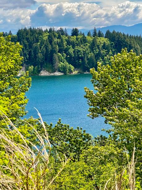 istock Yale Lake, Washington 1319542683