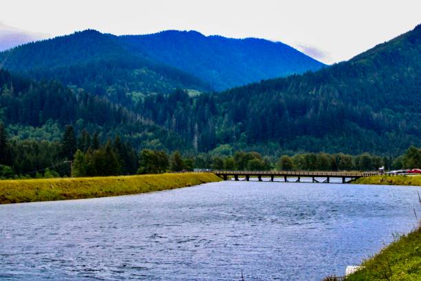istock Yale Lake, Washington 1319543217