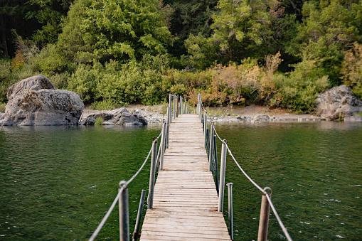 This is a photograph of a wooden footbridge over a river of water leading to the trees in Redwood National Park, California, USA on a summer day.