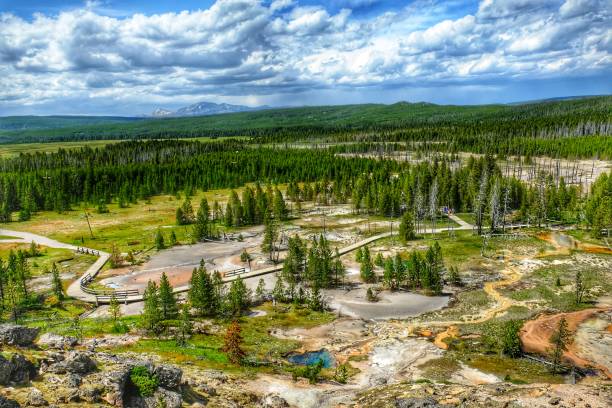 Norris Geyser Basin, Yellowstone national park, Wyoming Norris Geyser Basin is one of Yellowstone’s prime hydrothermal areas, found on the west side of the park, several miles north of Old Faithful. norris geyser basin photos stock pictures, royalty-free photos & images