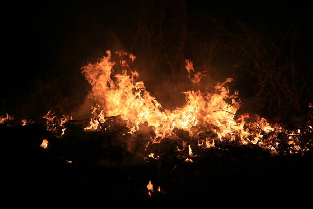 istock Fire flames burning dry grass on dark background. 1319547894
