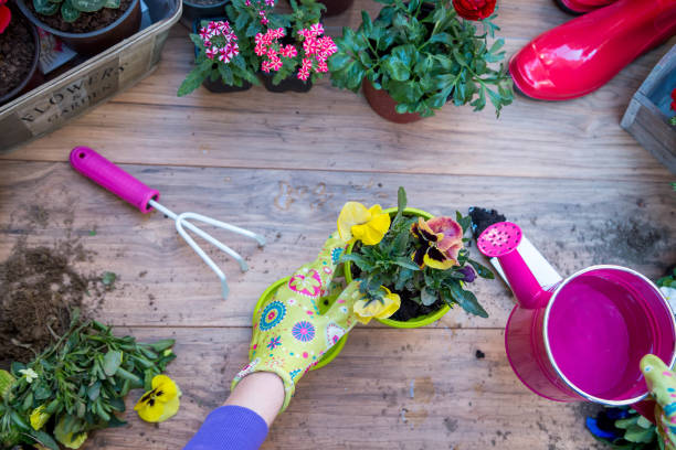 istock Spring garden works. Gardening tools and flowers 1319549784