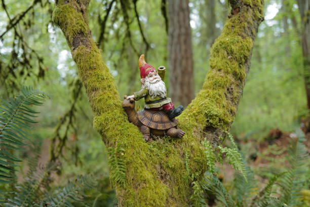 A gnome on a tree stock photo