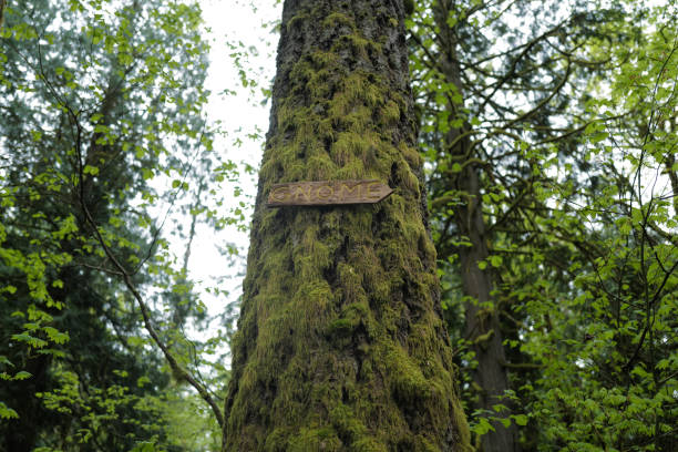 The sign for the knome trail in the Seattle area stock photo