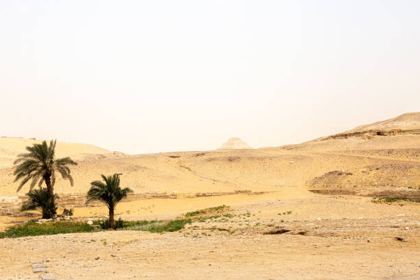 istock View to desert and pyramid of Djoser 1319553340
