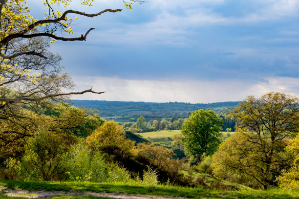 istock Nature in springtime on Funen and Svanninge Bakker in Denmark 1319553348