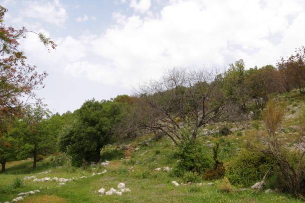 istock Hiking in Lebanon 1319556568