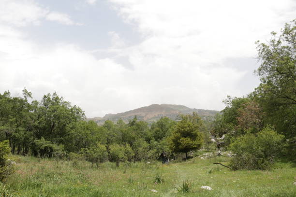 istock Hiking in Lebanon 1319556597