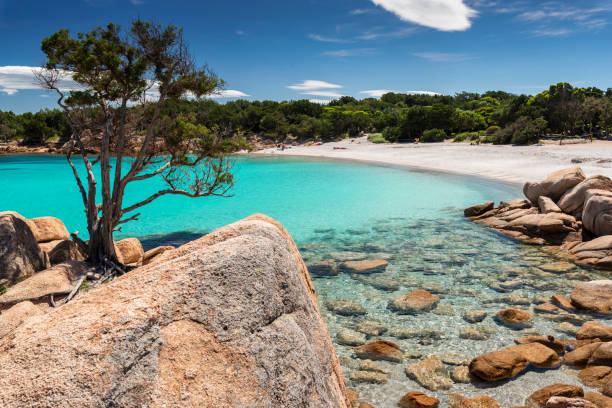 Capriccioli beach, Costa Smeralda, Olbia, Arzachena - Sardinia Emerald sea in the beach of Capriccioli, sardinia stock pictures, royalty-free photos & images