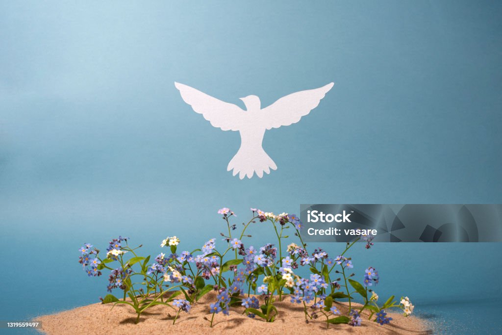 Flowers and white paper dove on light background. Flowers and white paper dove on light background. Flat lay, top view. Pentecost - Religious Celebration Stock Photo